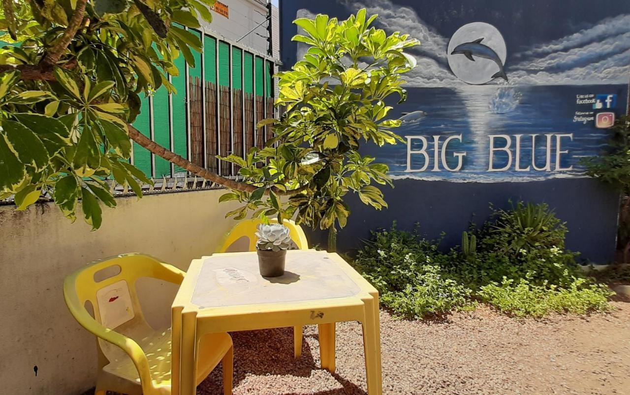 Big Blue Backpackers *